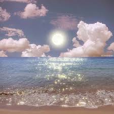 Ảnh đại diện Hooters